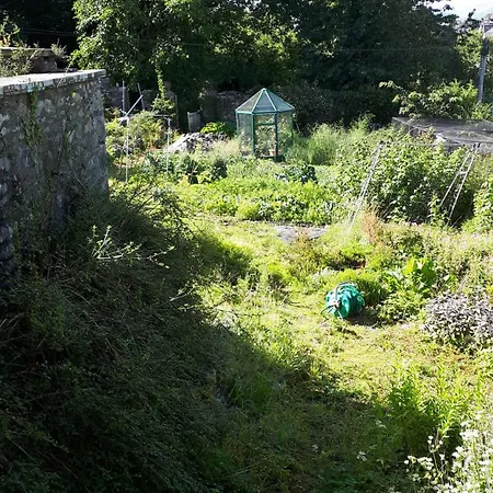 Bed and Breakfast Huge Double In Victorian House